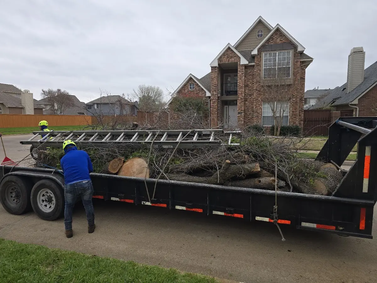 Expert Lot Clearing with proper safety equipment in Woodlawn